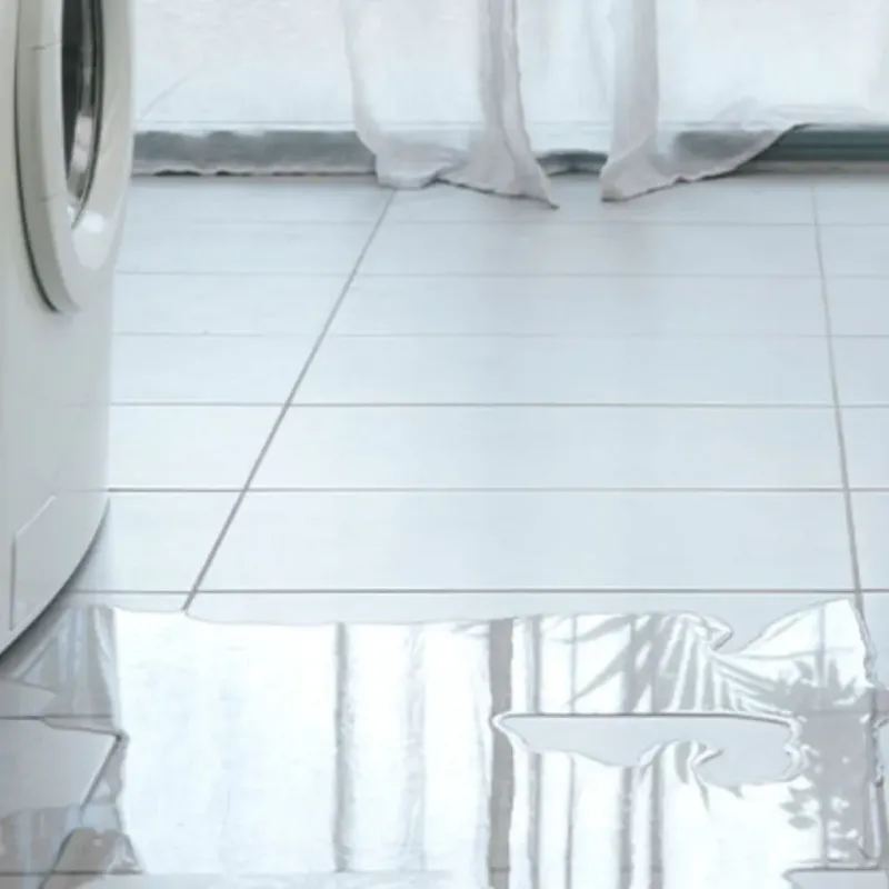 Appliance Leak Cleanup in Bristol, TN