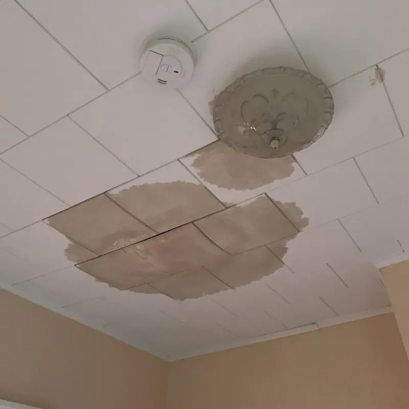 Ceiling Water Damage Repair in Bristol, TN