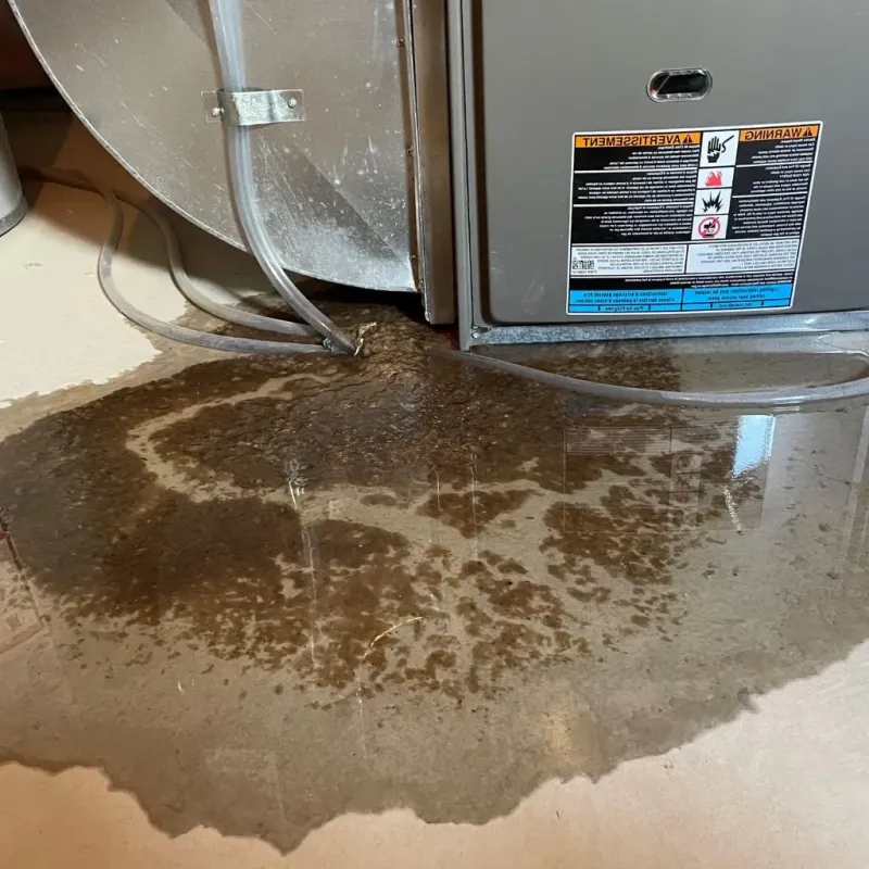 Pipe Burst and Leak Restoration in Bristol, TN