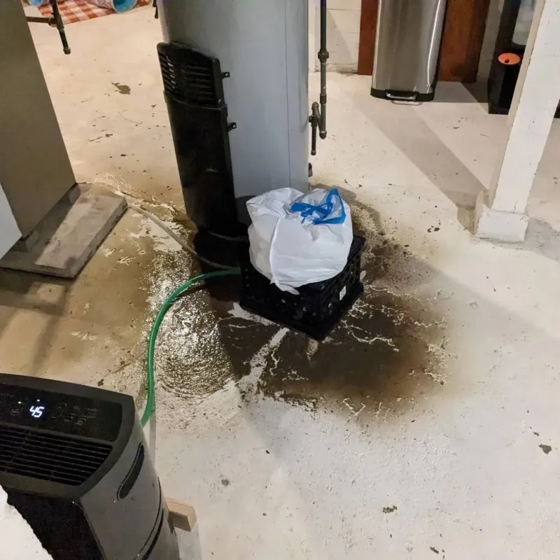 Sewage Backup Cleanup Service in Bristol, TN